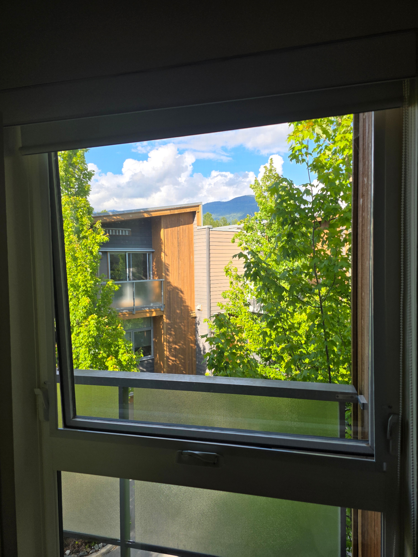 Lip screen with spring clips