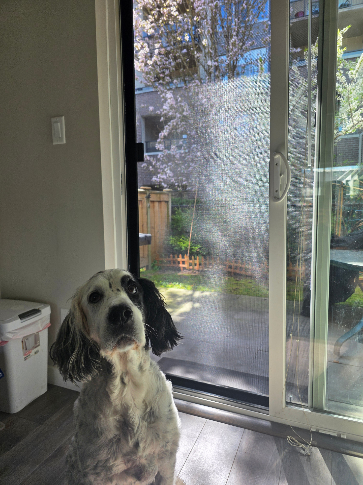 Patio screen with mountain view